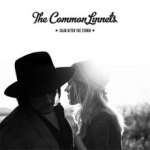 Common Linnets - Calm after the Storm