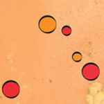 Zingjeigenwijs-200x200