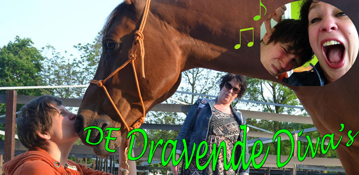 Kinderfeestje Zingen met De Dravende Diva's