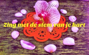 Zingen Vrouwen Limburg Zangles Workshop Cursus