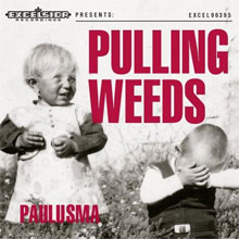 Paulusma-Pulling-Weeds