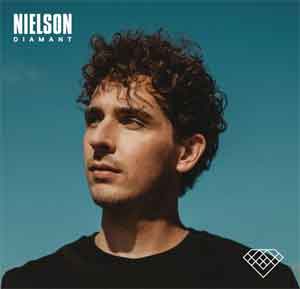 Nielson Diamant Album uit 2018